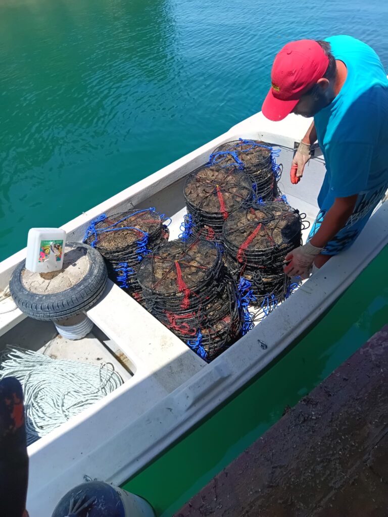 Fishermen with shells in the net